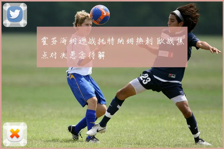 霍芬海姆迎战托特纳姆热刺 欧战焦点对决悬念待解