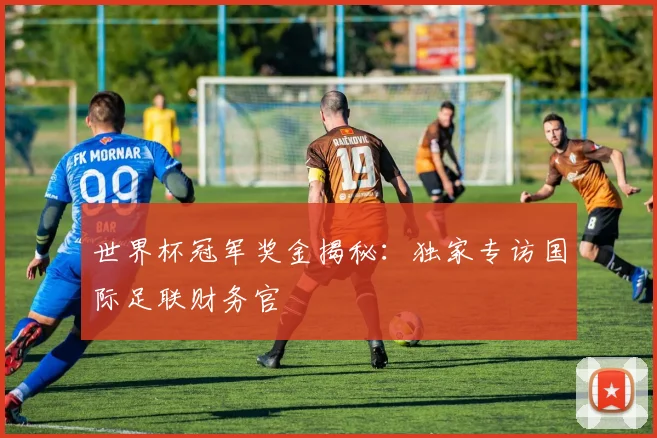 世界杯冠军奖金揭秘：独家专访国际足联财务官