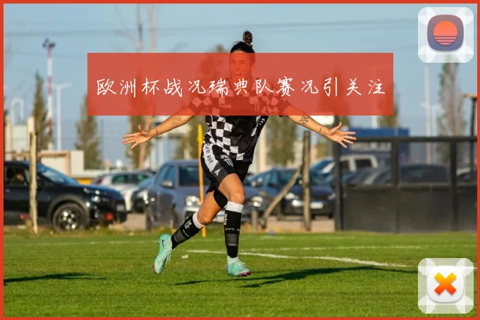 欧洲杯战况瑞典队赛况引关注