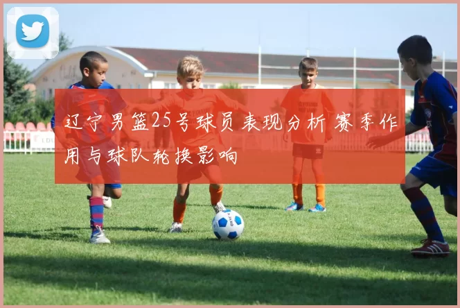 辽宁男篮25号球员表现分析 赛季作用与球队轮换影响