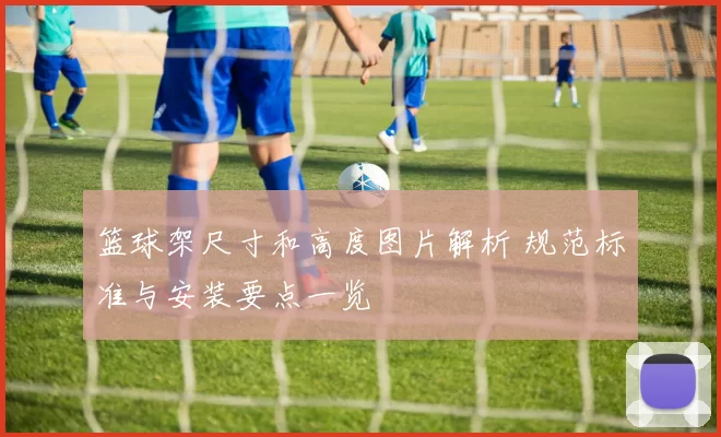 篮球架尺寸和高度图片解析 规范标准与安装要点一览